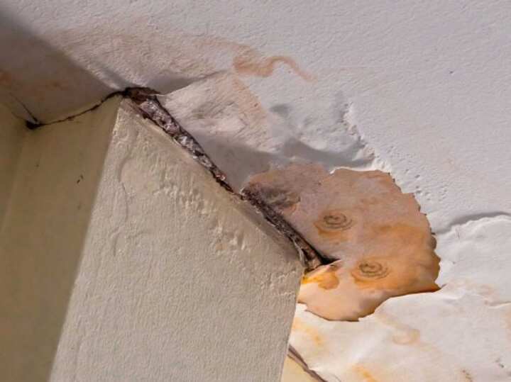 Water Damage Meridian 3 water damage ann arbor; don't ignore water damage problems